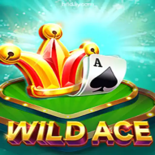 Discover WildAce: The Leading Online Slot Game on BRADAY.com Platform